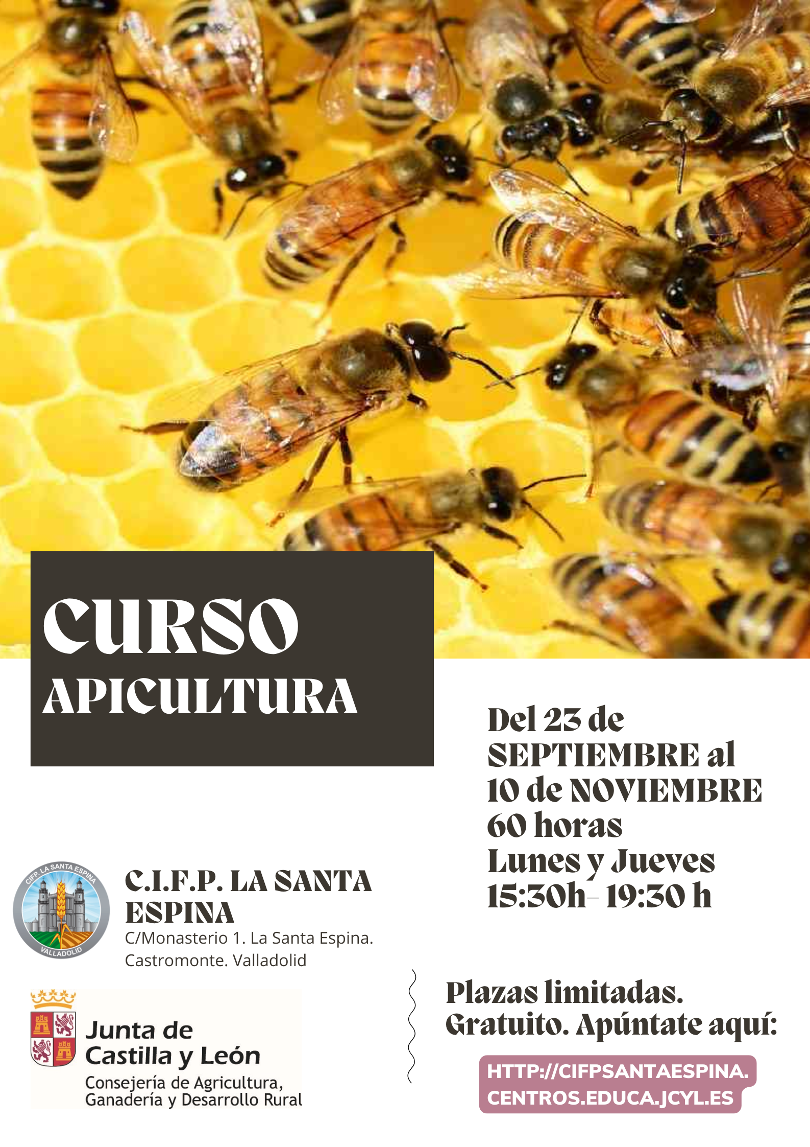 Poster apicultura