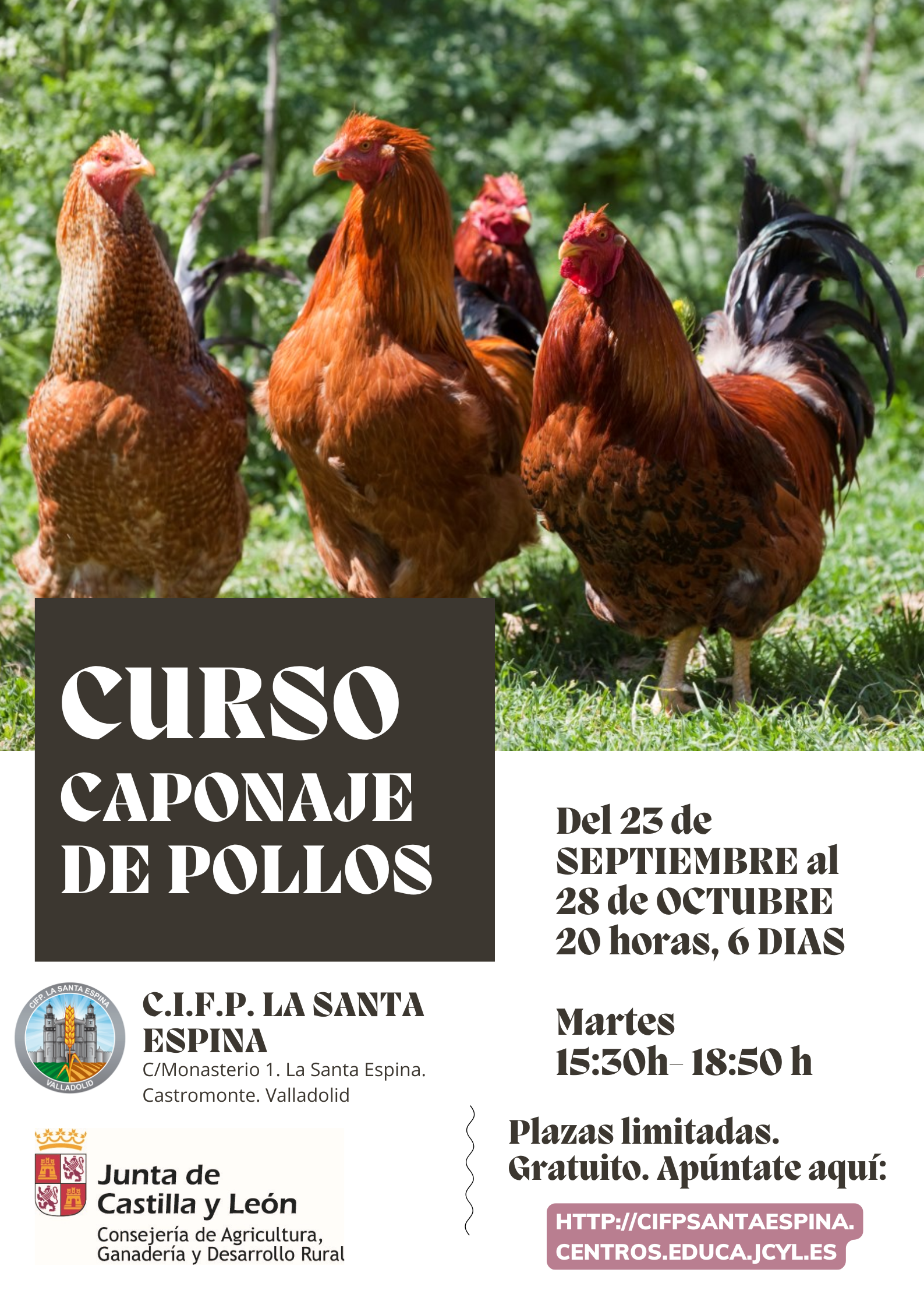 Poster caponaje