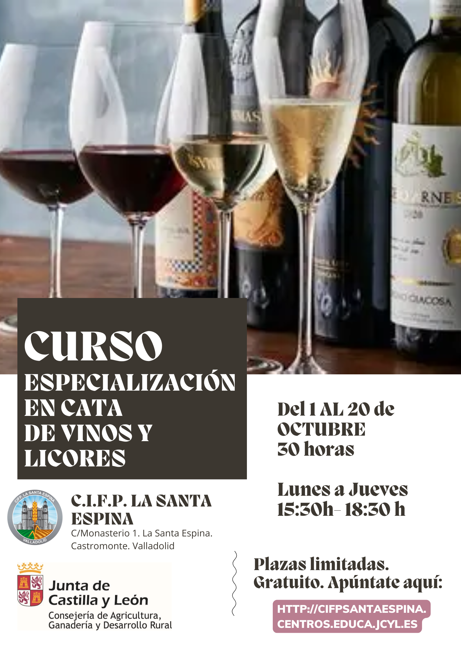 Poster especializacion cata